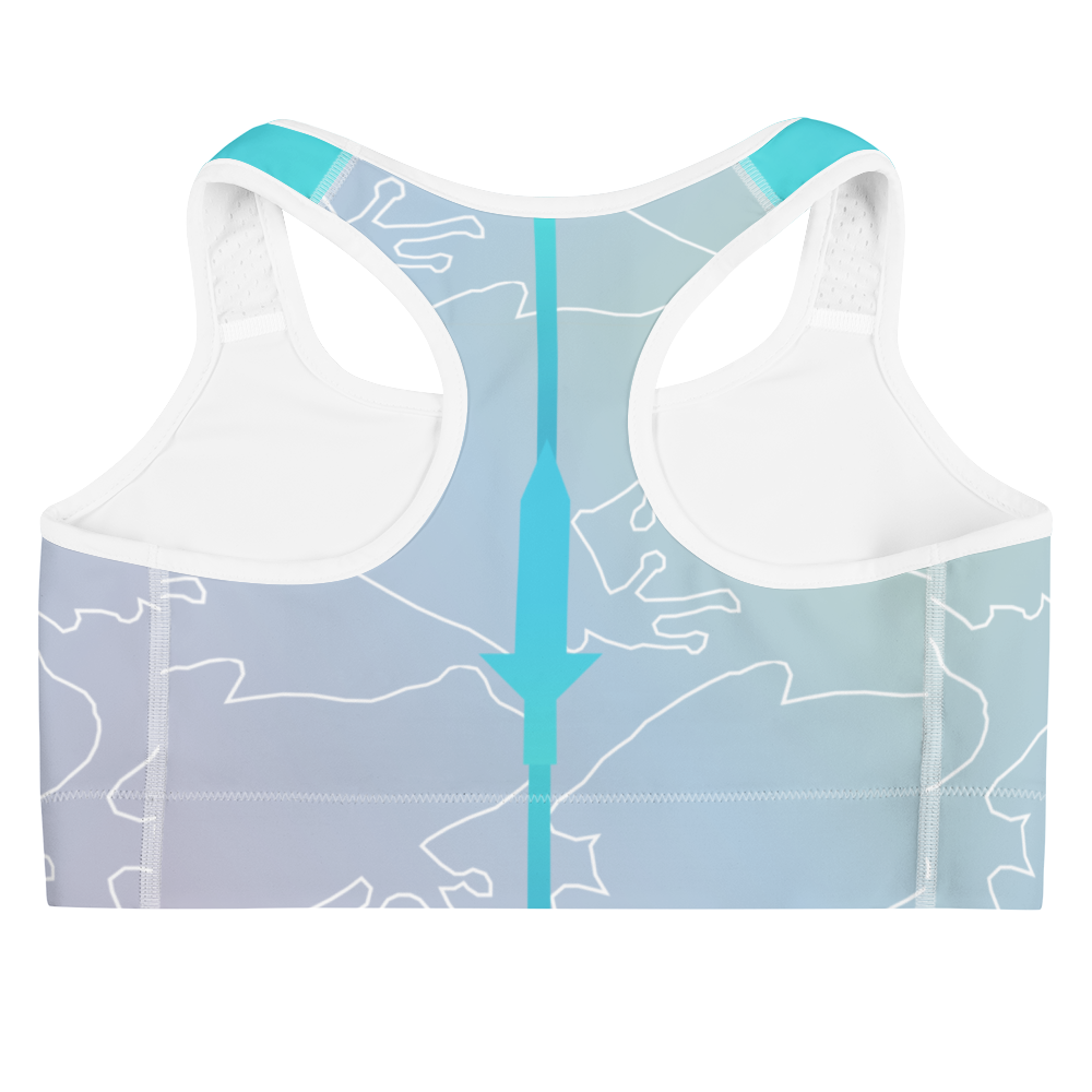 Frog Spirit Sports bra